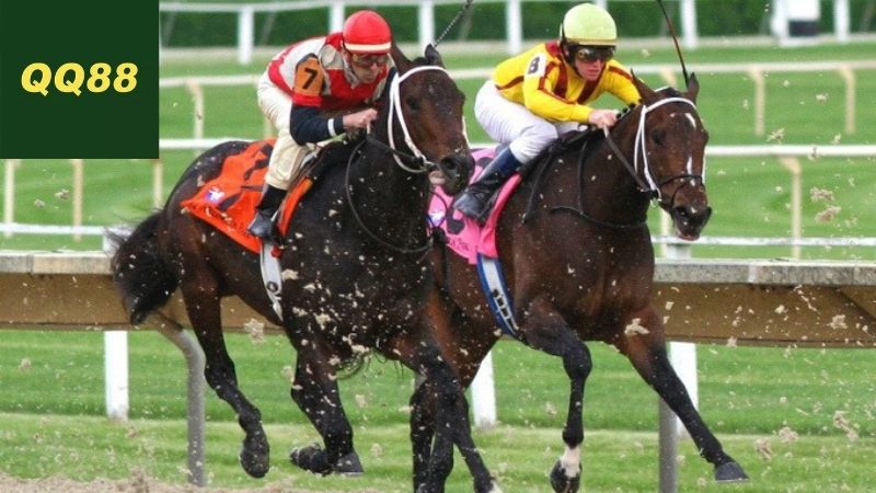 Định nghĩa và cơ bản về cá cược đua ngựa